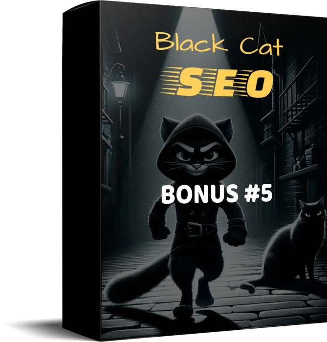 Black Cat SEO