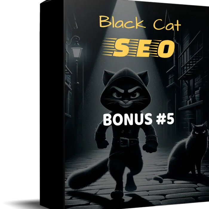 Black Cat SEO